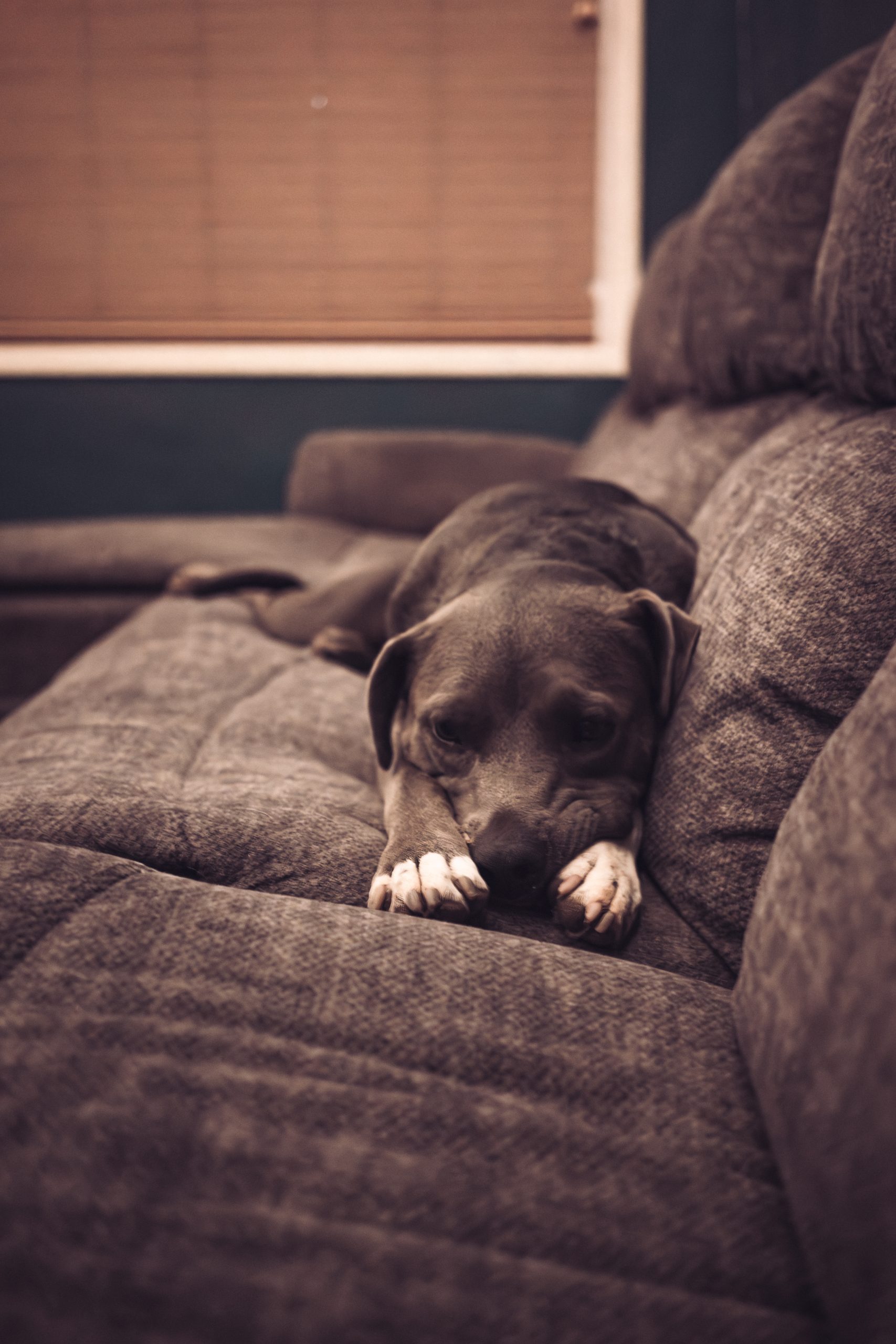 One with the couch.